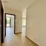 Rent 2 bedroom apartment of 53 m² in Plzeň