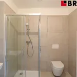 Pronajměte si 2 ložnic/e byt o rozloze 45 m² v Brno