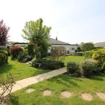 Detached bungalow to rent in Wethersfield Road, Finchingfield, Braintree CM7