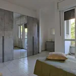 Rent 1 bedroom apartment in milan