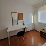 Rent 5 bedroom apartment in Coimbra