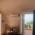 Rent 2 bedroom apartment of 40 m² in Capri