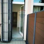 Rent 3 bedroom apartment of 85 m² in Bologna