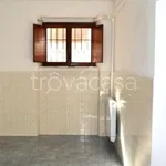 Rent 3 bedroom apartment of 75 m² in Albano Laziale