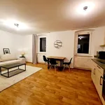 Rent 2 bedroom apartment of 40 m² in Vilseck