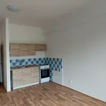 Pronájem bytu 1+kk 30m²