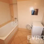 Rent 2 bedroom apartment in Capital City of Prague