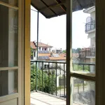 Rent 1 bedroom apartment of 45 m² in Turin