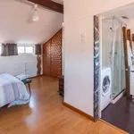 Rent 1 bedroom apartment in porto