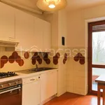 Rent 4 bedroom apartment of 150 m² in Segrate