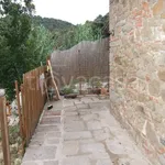 Rent 3 bedroom apartment of 52 m² in Carmignano