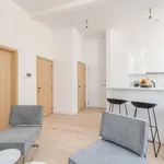  appartement avec 1 chambre(s) en location à Antwerp