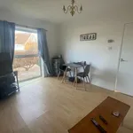 Rent 1 bedroom house in South West England