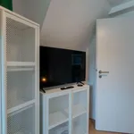 Rent 1 bedroom apartment in Essen