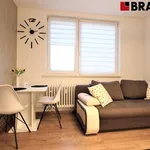 Rent 2 bedroom apartment of 35 m² in Brno