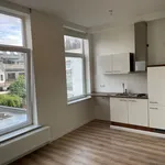 Huur 1 slaapkamer appartement van 22 m² in Haarlem