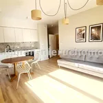 Rent 3 bedroom apartment of 57 m² in Lublin