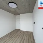 Rent 3 bedroom apartment of 61 m² in Liberec