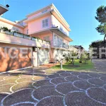 Rent 20 bedroom house of 1 m² in Civitanova Marche