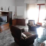 Rent 5 bedroom apartment of 100 m² in Livorno