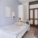 Rent a room of 177 m² in Bologna
