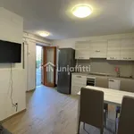 Rent 1 bedroom apartment in Siena