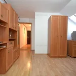 Rent 1 bedroom apartment of 26 m² in Timisoara