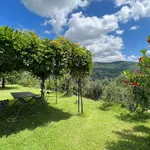 Rent 9 bedroom apartment of 250 m² in Cortona