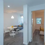 Rent 1 bedroom apartment of 46 m² in São João da Madeira