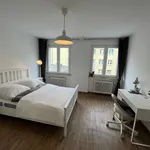 Rent 1 bedroom apartment of 24 m² in Essen