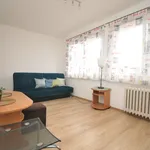 Rent 1 bedroom apartment of 20 m² in Szczecin