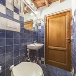 Rent 1 bedroom apartment in Florence