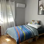 Rent 3 bedroom house in Leichhardt