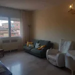 Affitto 4 camera appartamento di 104 m² in Bologna