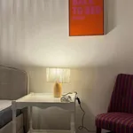 Rent 1 bedroom apartment in brussels