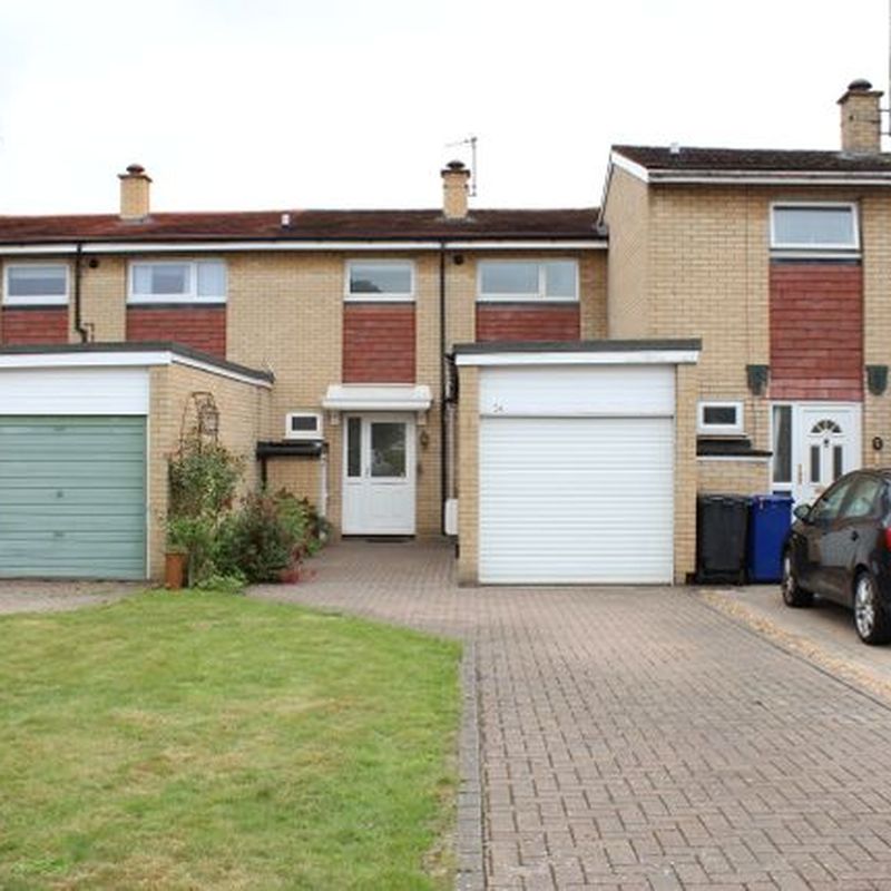 Terraced house to rent in Bell Meadow, Bury St Edmunds, Suffolk IP32 Fornham St Martin