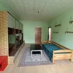 Rent 2 bedroom apartment in Sokolov