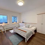 Rent 1 bedroom apartment of 15 m² in Handewitt