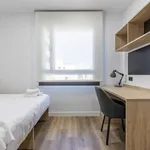 Rent 1 bedroom apartment in madrid