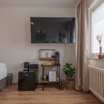 Rent 1 bedroom apartment of 25 m² in Hildesheim