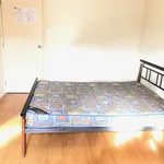 Rent 1 bedroom house in Albert-Eden