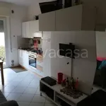 Rent 2 bedroom apartment of 45 m² in Misano Adriatico