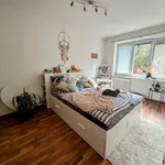 Rent 2 bedroom apartment in Ostrava