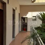 Rent 2 bedroom apartment of 70 m² in Marcianise