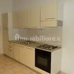 Rent 2 bedroom apartment of 50 m² in Bologna