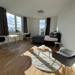 Miete 1 Schlafzimmer wohnung von 29 m² in Berlin