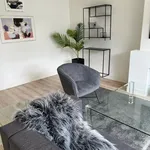 Rent 2 bedroom apartment of 95 m² in Den Haag