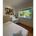 Rent 5 bedroom house in Brighton