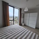 Rent 3 bedroom apartment of 120 m² in Strijp S