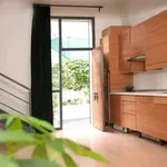 Alquilar 1 dormitorio apartamento en madrid